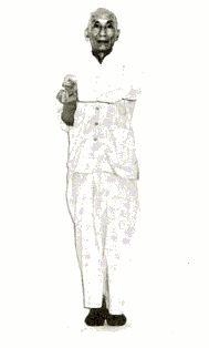 ip_man_sm.jpg